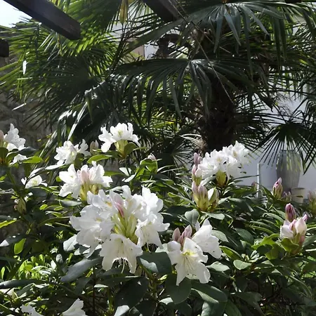 Geibelhof - In Mediterraner Hofreite Nahe Frankfurt Am Main דירה קארבן