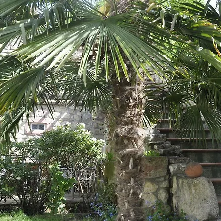 Geibelhof - In Mediterraner Hofreite Nahe Frankfurt Am Main קארבן